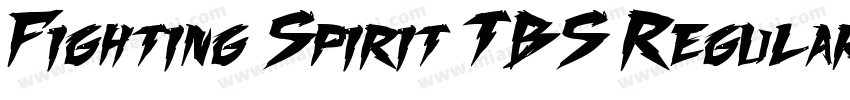 Fighting Spirit TBS Regular字体转换